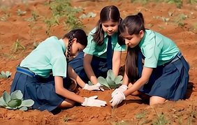 Students planting saplings in the school garden