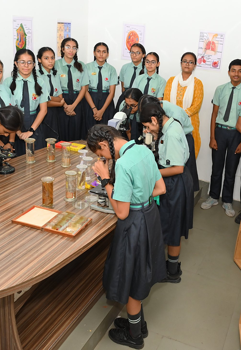 Students at the microscopes in the biology laboratory