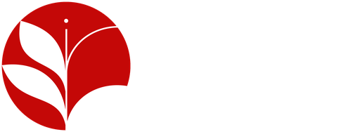 logo-image
