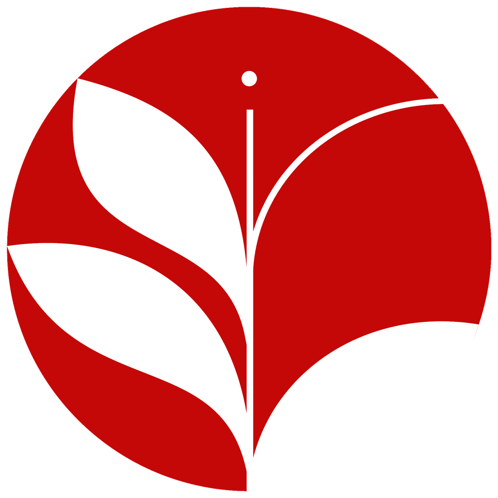 Surya International School