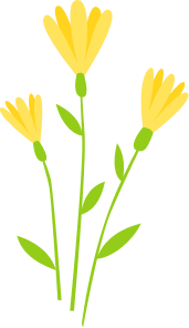shape-image