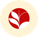 Surya International School